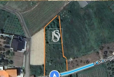 Terreno para Venda em Ferreirim