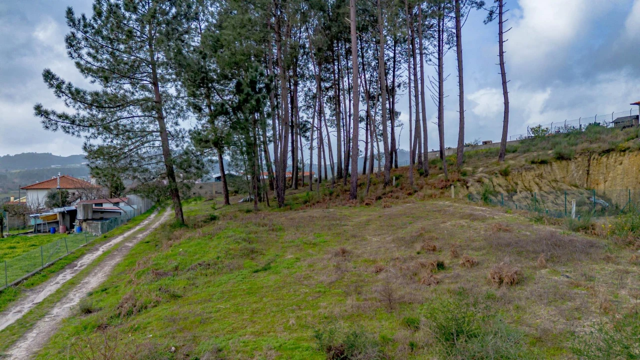 Terreno para Venda em Fregim Foto 13