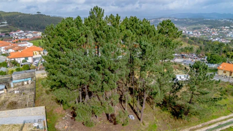 Terreno para Venda em Fregim