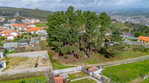 Terreno para Venda em Fregim