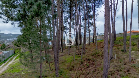 Terreno para Venda em Fregim