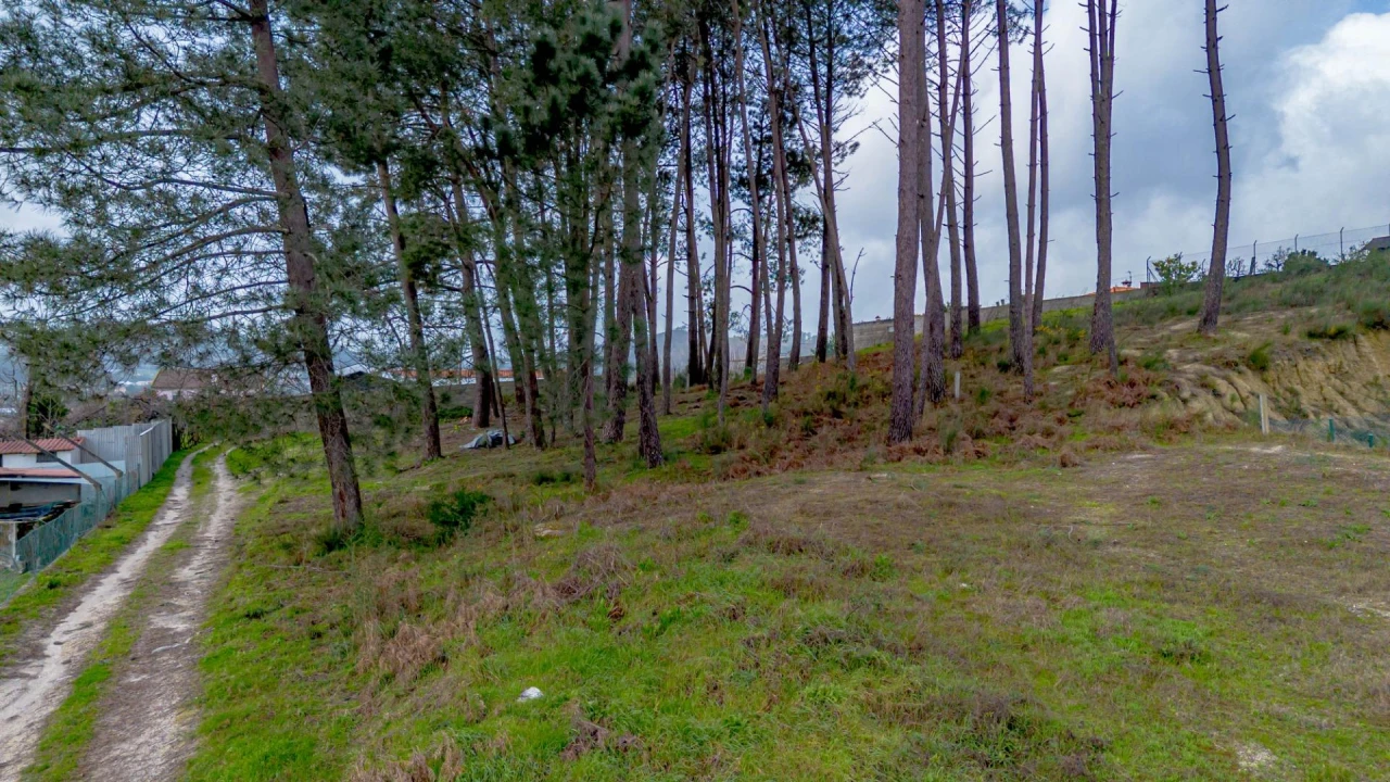 Terreno para Venda em Fregim Foto 23