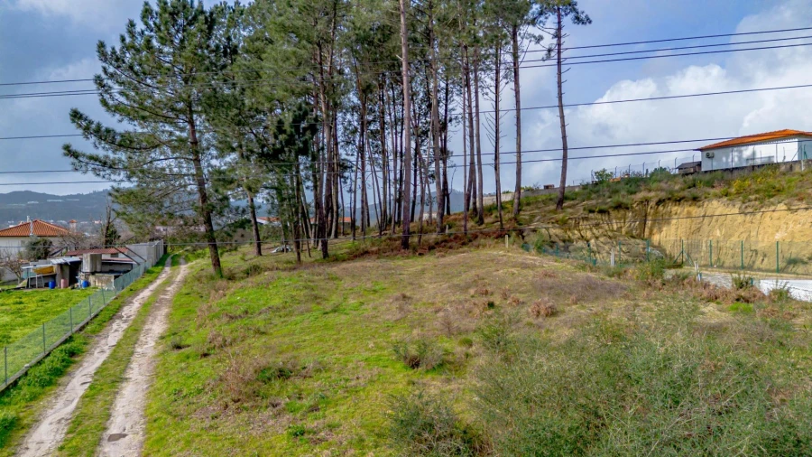 Terreno para Venda em Fregim Foto 3