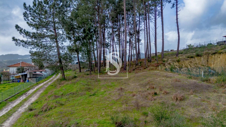 Terreno para Venda em Fregim Foto 8