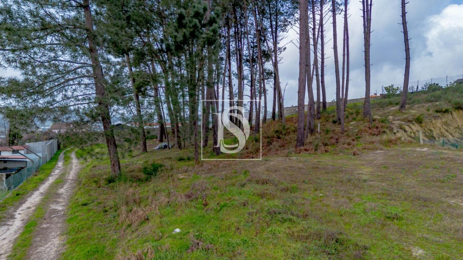 Terreno para Venda em Fregim Foto 10