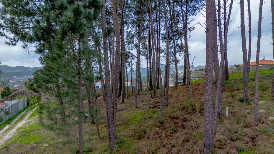 Terreno para Venda em Fregim Foto 19