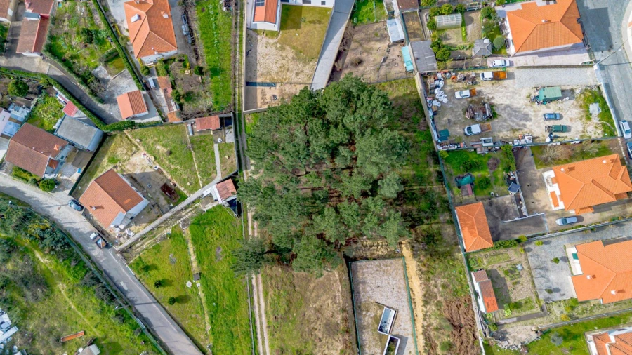 Terreno para Venda em Fregim Foto 24