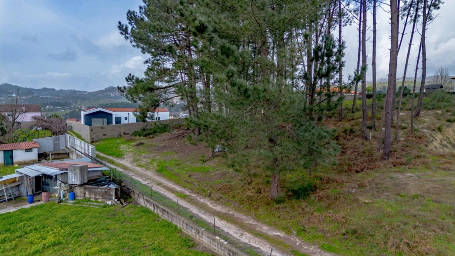 Terreno para Venda em Fregim Foto 14