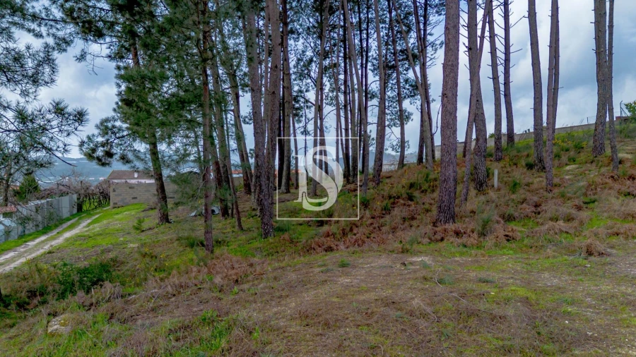 Terreno para Venda em Fregim Foto 21