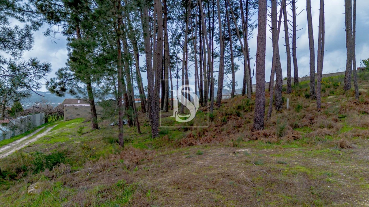 Terreno para Venda em Fregim Foto 21