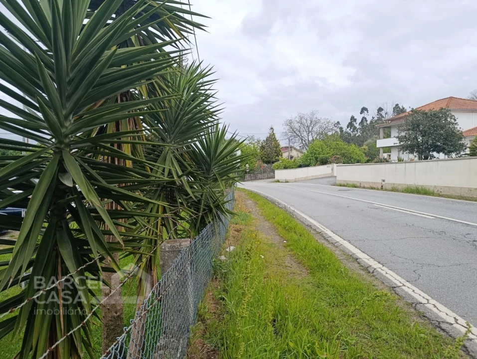 Terreno para Venda em Lama Foto 1