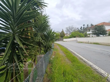 Terreno para Venda em Lama