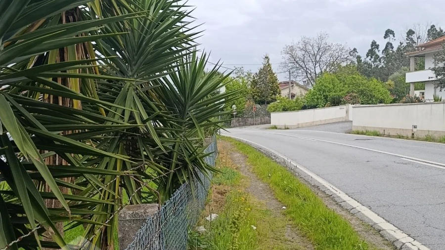 Terreno para Venda em Lama