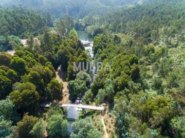 Terreno para Venda em Pinheiro da Bemposta, Travanca e Palmaz