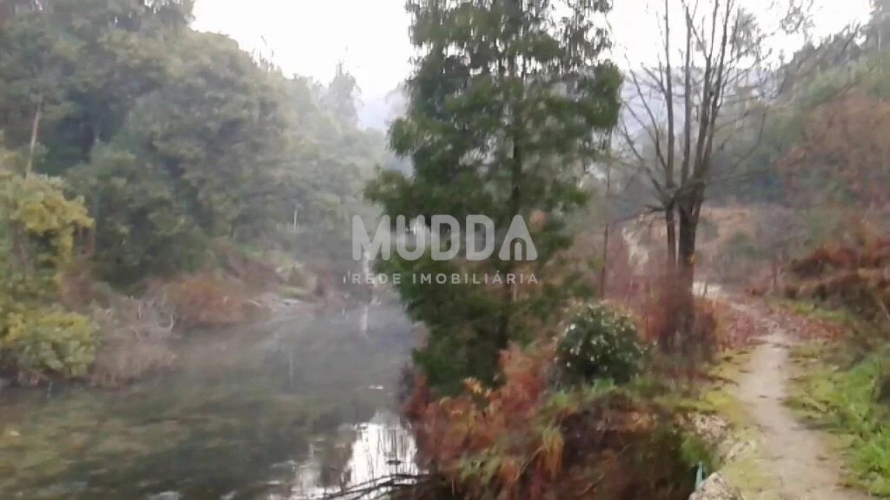 Terreno para Venda em Pinheiro da Bemposta, Travanca e Palmaz Foto 10