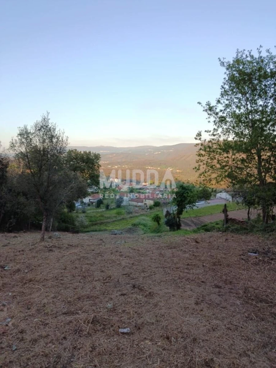 Terreno para Venda em Pinheiro da Bemposta, Travanca e Palmaz Foto 6