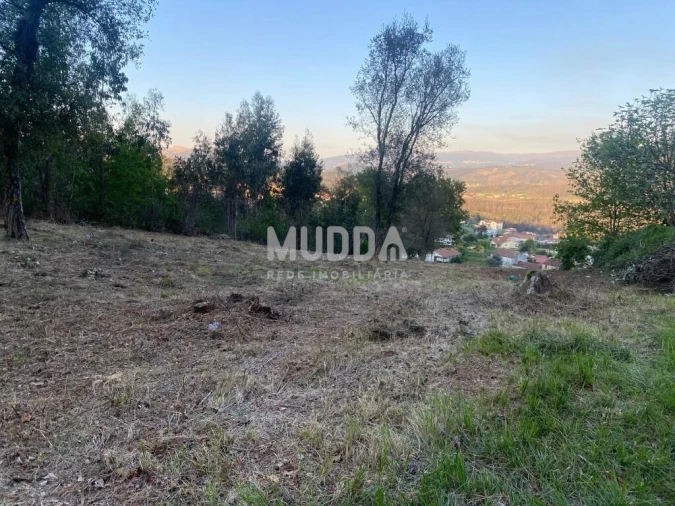 Terreno para Venda em Pinheiro da Bemposta, Travanca e Palmaz Foto 2