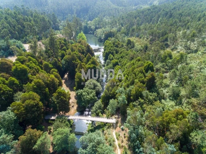 Terreno para Venda em Pinheiro da Bemposta, Travanca e Palmaz Foto 9