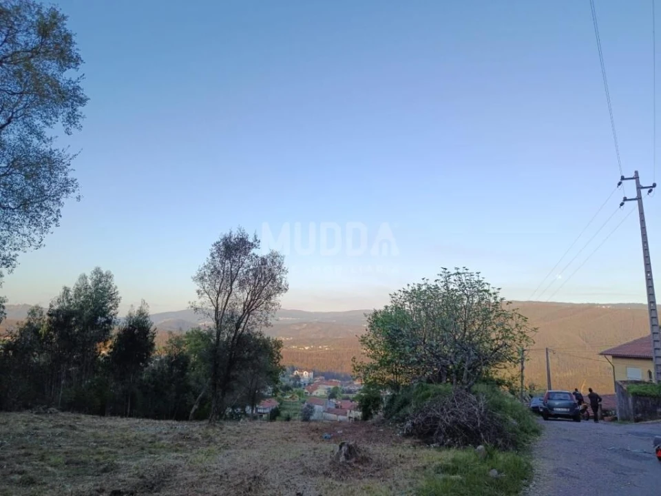Terreno para Venda em Pinheiro da Bemposta, Travanca e Palmaz Foto 7