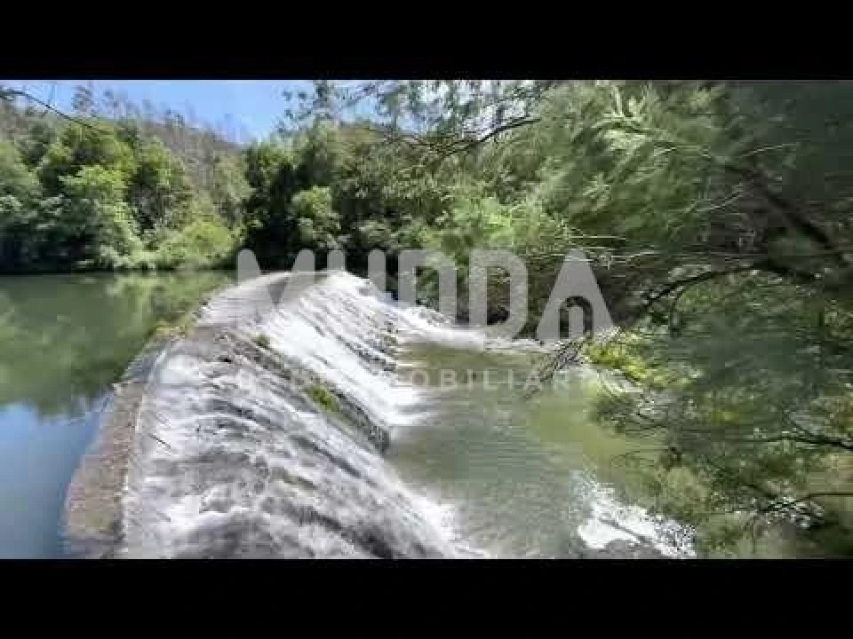 Terreno para Venda em Pinheiro da Bemposta, Travanca e Palmaz Foto 8
