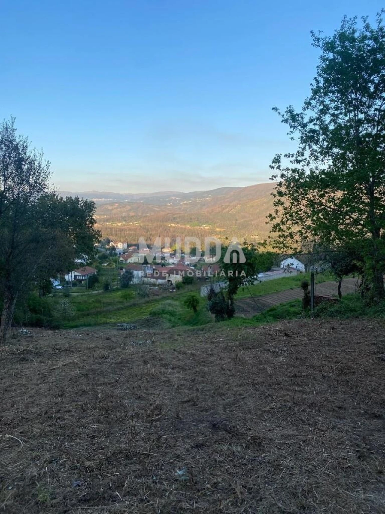 Terreno para Venda em Pinheiro da Bemposta, Travanca e Palmaz Foto 1