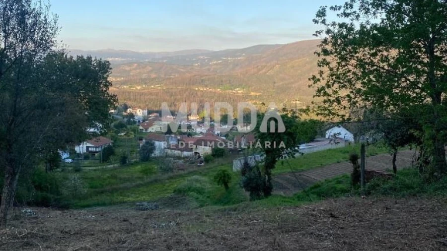Terreno para Venda em Pinheiro da Bemposta, Travanca e Palmaz