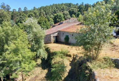 Prédio para Venda em Travanca de Lagos