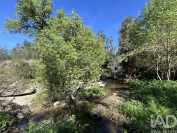 Prédio para Venda em Travanca de Lagos