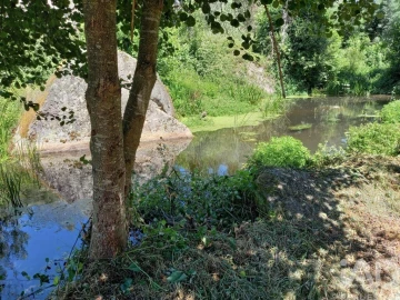 Prédio para Venda em Travanca de Lagos