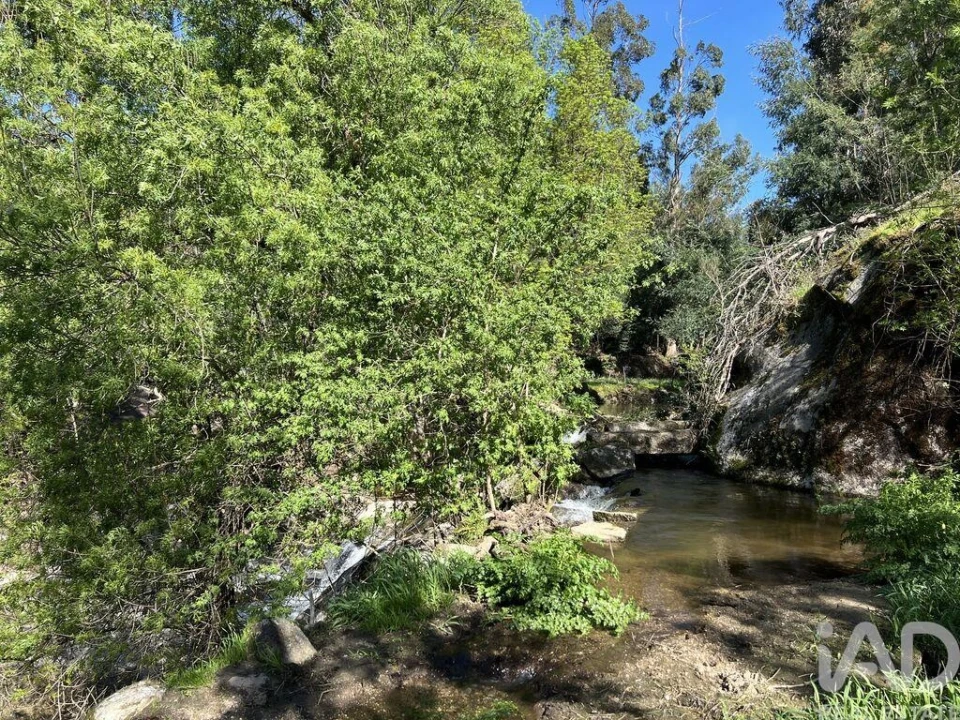 Prédio para Venda em Travanca de Lagos Foto 22