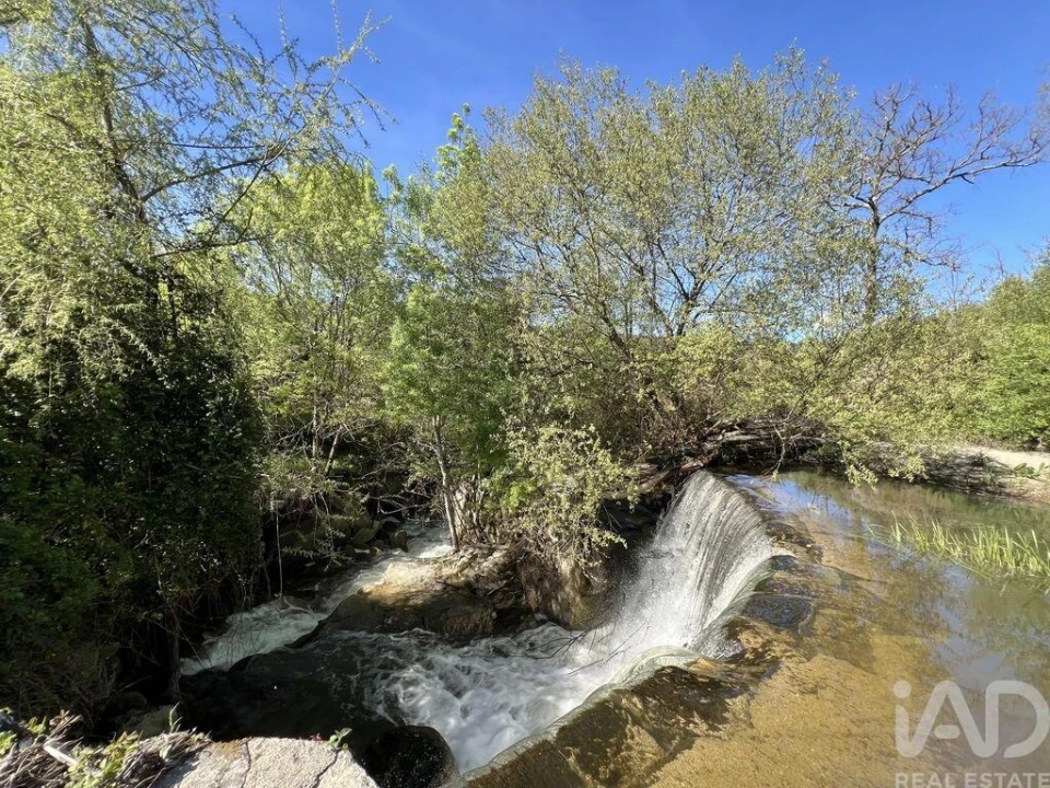 Prédio para Venda em Travanca de Lagos Foto 11