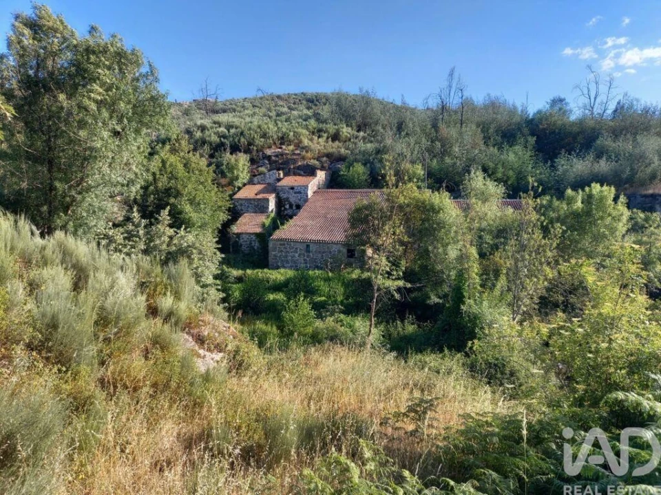 Prédio para Venda em Travanca de Lagos Foto 9