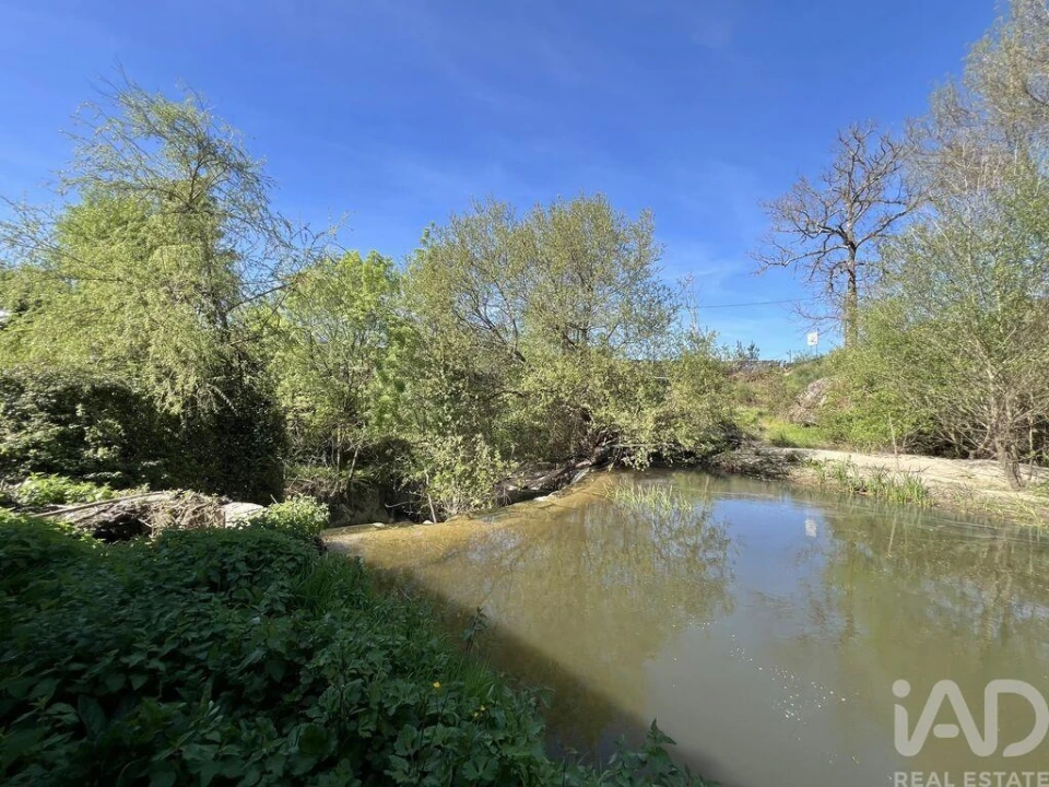 Prédio para Venda em Travanca de Lagos Foto 12