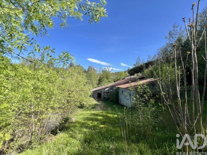 Prédio para Venda em Travanca de Lagos Foto 16