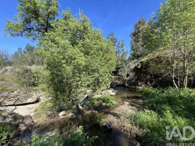 Prédio para Venda em Travanca de Lagos Foto 23