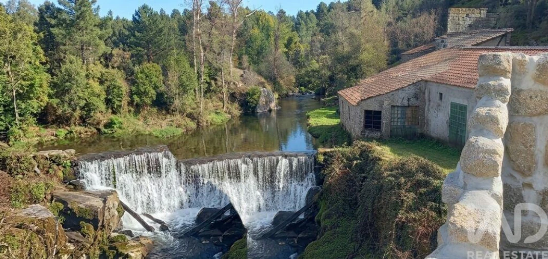 Prédio para Venda em Travanca de Lagos Foto 10