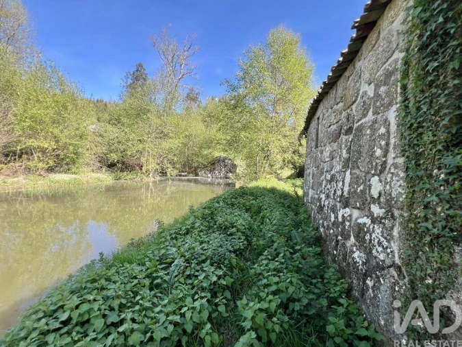 Prédio para Venda em Travanca de Lagos Foto 13