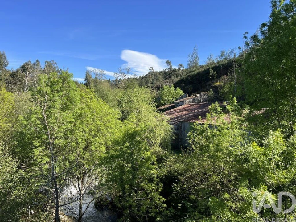 Prédio para Venda em Travanca de Lagos Foto 15