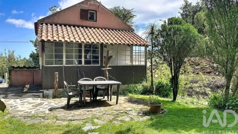 Moradia T1 para Venda em Ribeira da Janela