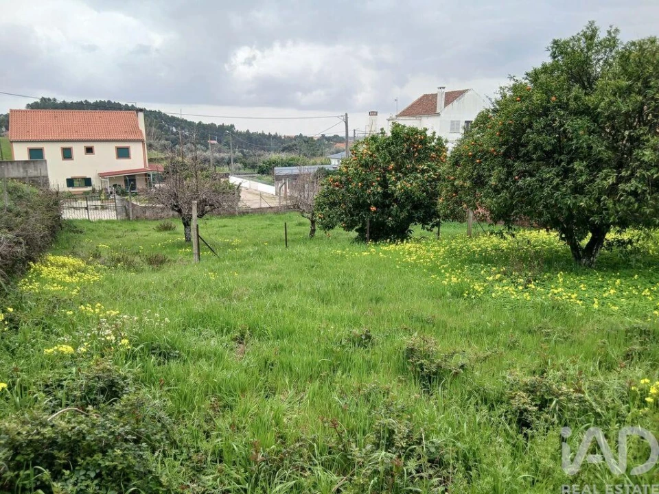 Terreno para Venda em Ninho do Açor e Sobral do Campo Foto 1