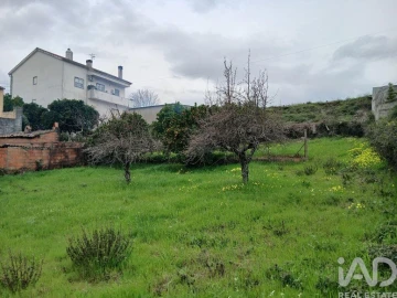 Terreno para Venda em Ninho do Açor e Sobral do Campo