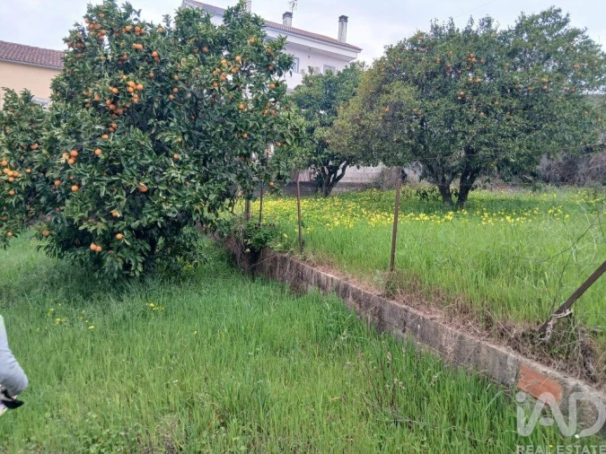 Terreno para Venda em Ninho do Açor e Sobral do Campo Foto 4