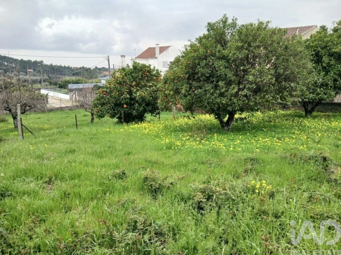 Terreno para Venda em Ninho do Açor e Sobral do Campo Foto 2