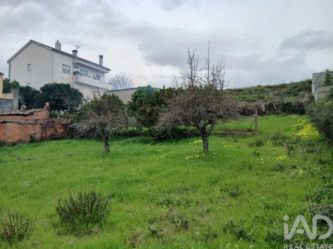 Terreno para Venda em Ninho do Açor e Sobral do Campo Foto 7