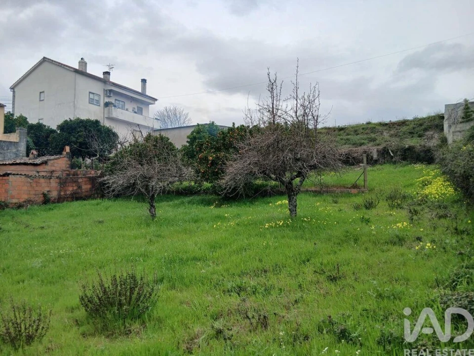 Terreno para Venda em Ninho do Açor e Sobral do Campo Foto 7