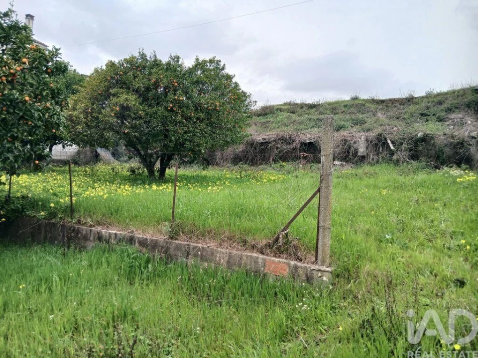 Terreno para Venda em Ninho do Açor e Sobral do Campo Foto 5