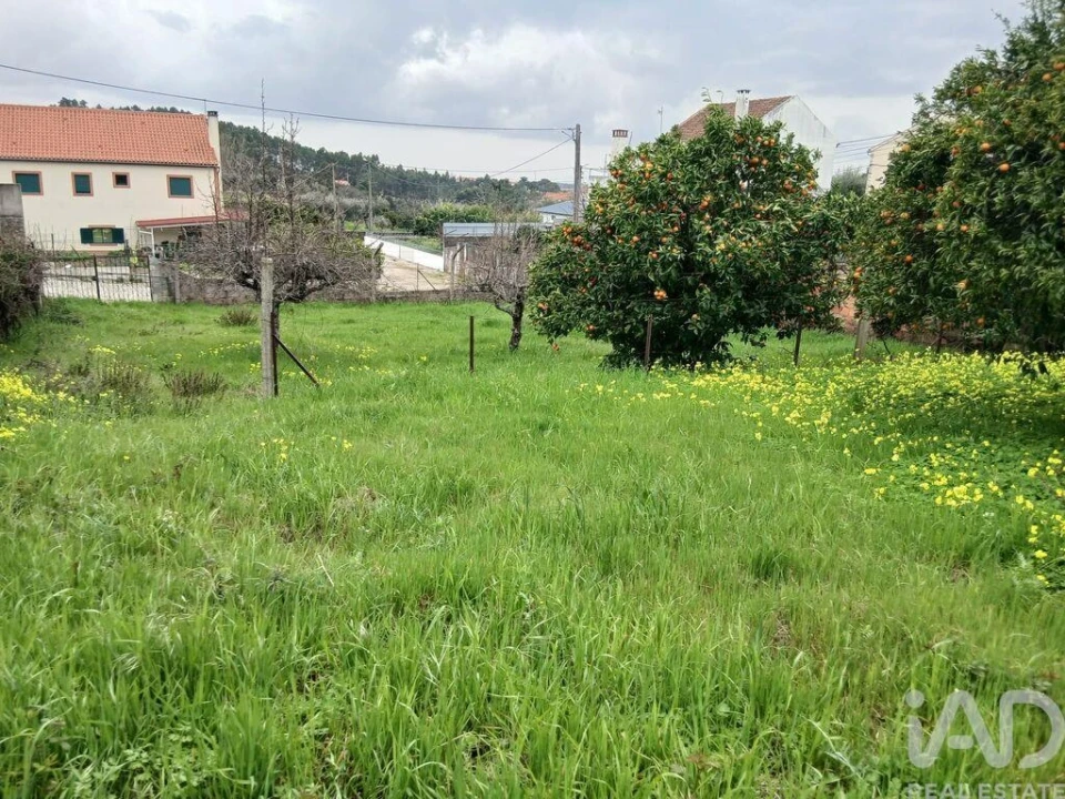 Terreno para Venda em Ninho do Açor e Sobral do Campo Foto 6