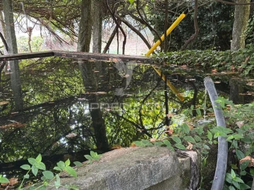 Quinta T6 para Venda em Gemieira