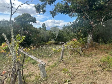 Quinta T6 para Venda em Gemieira