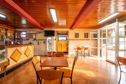 Negócio para Venda em Salga